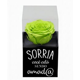 Imagem de Rosa Encantada Verde na Caixinha