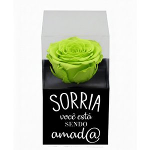 Imagem de Rosa Encantada Verde na Caixinha