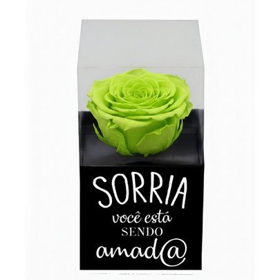 Rosa Encantada Verde na Caixinha