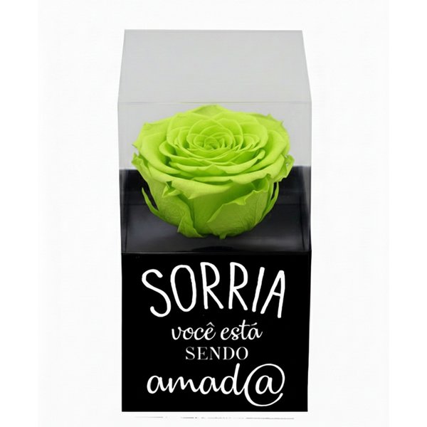 Rosa Encantada Verde na Caixinha