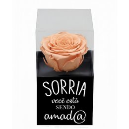 Imagem de Rosa Encantada Champanhe na Caixinha