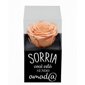 Imagem de Rosa Encantada Champanhe na Caixinha