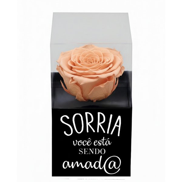Rosa Encantada Champanhe na Caixinha