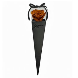 Imagem de Cone Preto de Rosa Encantada Cor Chocolate