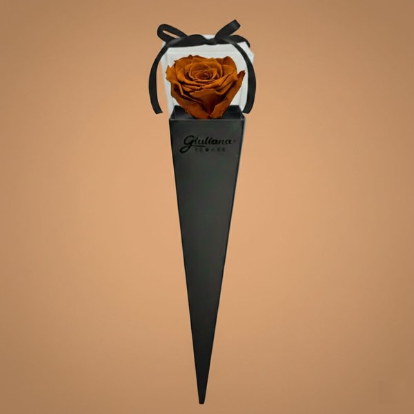 Cone Preto de Rosa Encantada Cor Chocolate