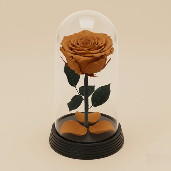 A Bela Rosa Encantada Cor Chocolate