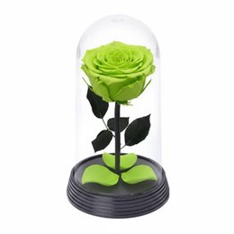 Imagem de A Bela Rosa Encantada Verde