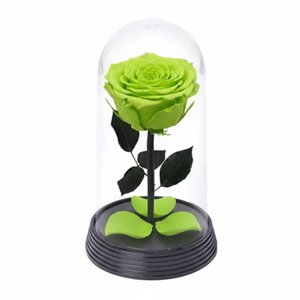 Imagem de A Bela Rosa Encantada Verde