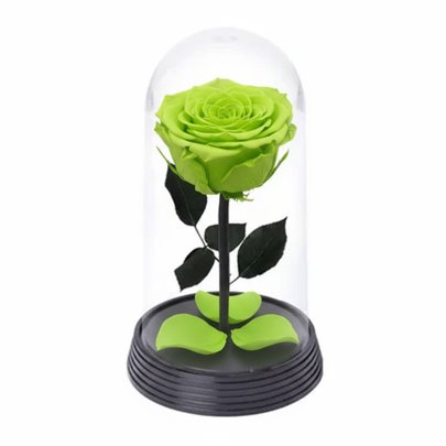 A Bela Rosa Encantada Verde