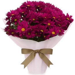 Imagem de Mini Vaso de Margaridinhas Pink