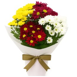 Imagem de Mini Vaso de Margaridinhas Coloridas