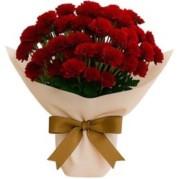 Imagem de Pinóquio Plantado PomPom Vermelho