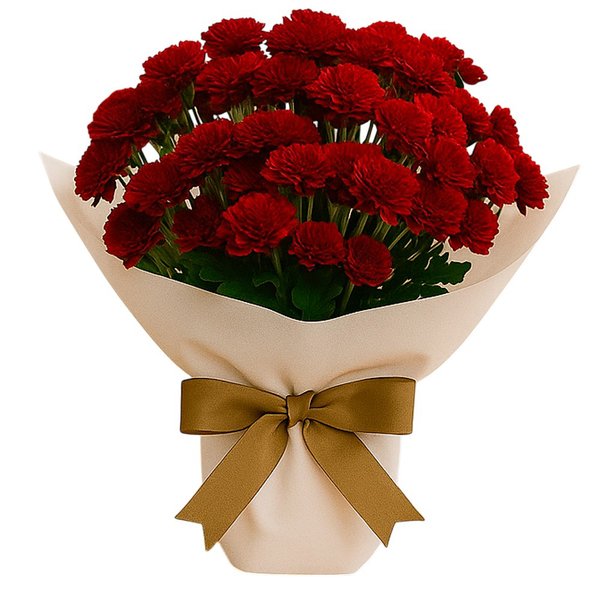 Pinóquio Plantado PomPom Vermelho