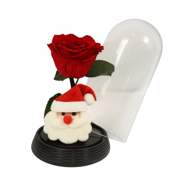 A Bela Rosa Encantada Vermelha - Edição de Natal
