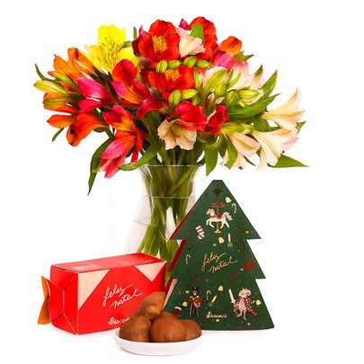 Admiração de Astromélias Coloridas e Biscoitê