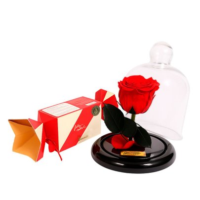 Mini Rosa Encantada Vermelha e Gingercandy Biscoitê