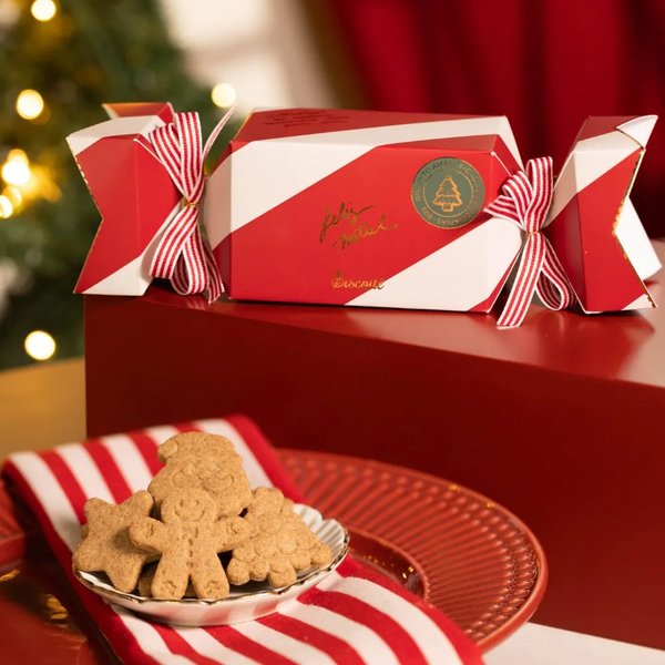 Mini Rosa Encantada Vermelha e Gingercandy Biscoitê