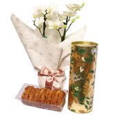 Mini Orquídea Rara Branca e Lata Cookie Speculoos Biscoitê