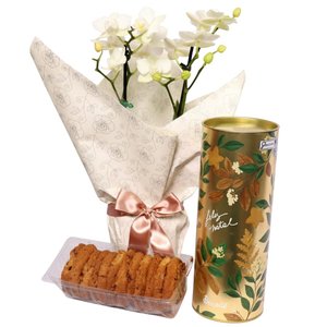 Imagem de Mini Orquídea Rara Branca e Lata Cookie Speculoos Biscoitê
