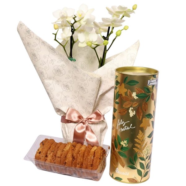 Mini Orquídea Rara Branca e Lata Cookie Speculoos Biscoitê