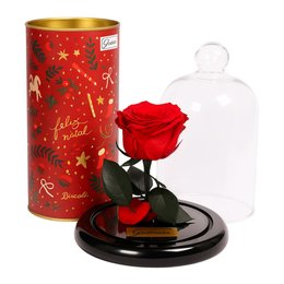 Imagem de Mini Rosa Encantada Vermelha e Pedaccio Biscoitê