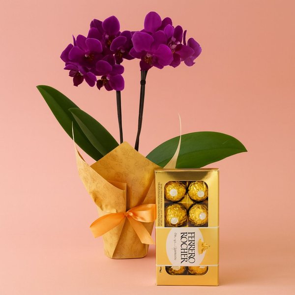 Mini Orquídea Rara Lilás e Ferreiro Rocher