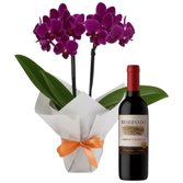 Mini Orquídea Rara Lilás e Vinho Reservado 750ml