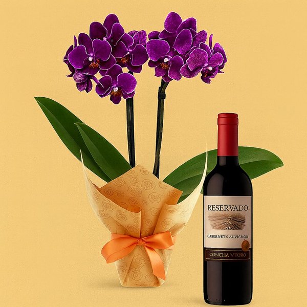 Mini Orquídea Rara Lilás e Vinho Reservado 750ml