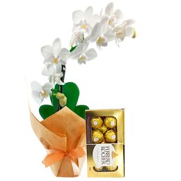 Imagem de Mini Orquídea Rara Branca e Ferrero Rocher