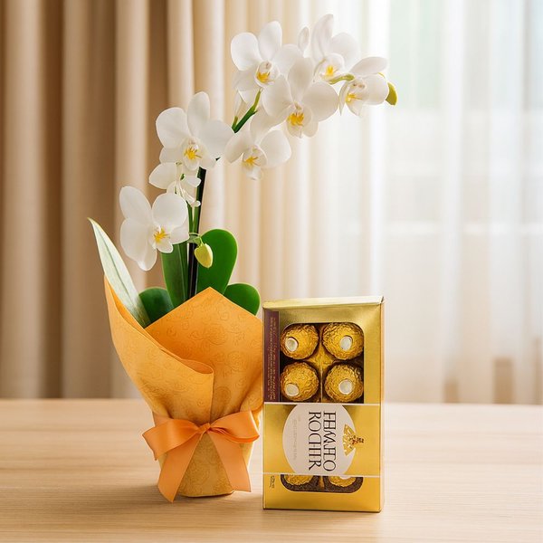 Mini Orquídea Rara Branca e Ferrero Rocher