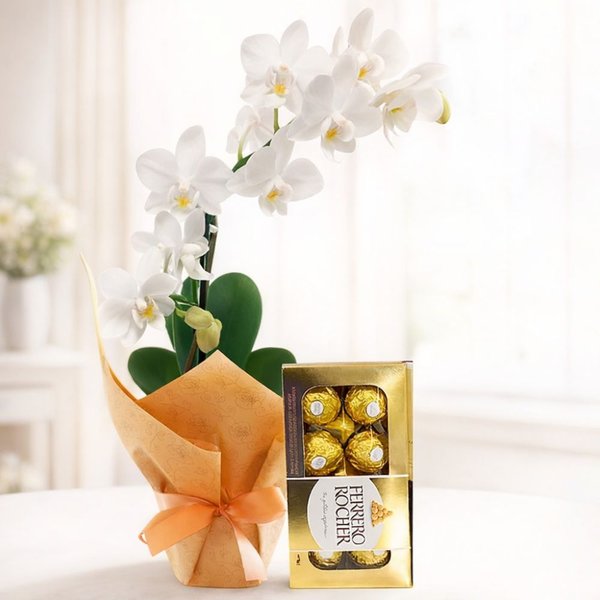 Mini Orquídea Rara Branca e Ferrero Rocher