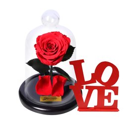 Imagem de Mini Rosa Encantada e Placa Love