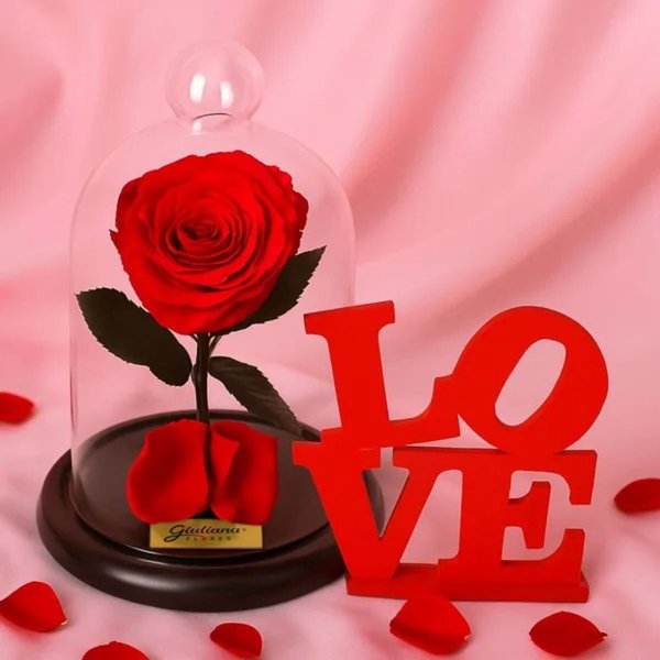 Mini Rosa Encantada e Placa Love