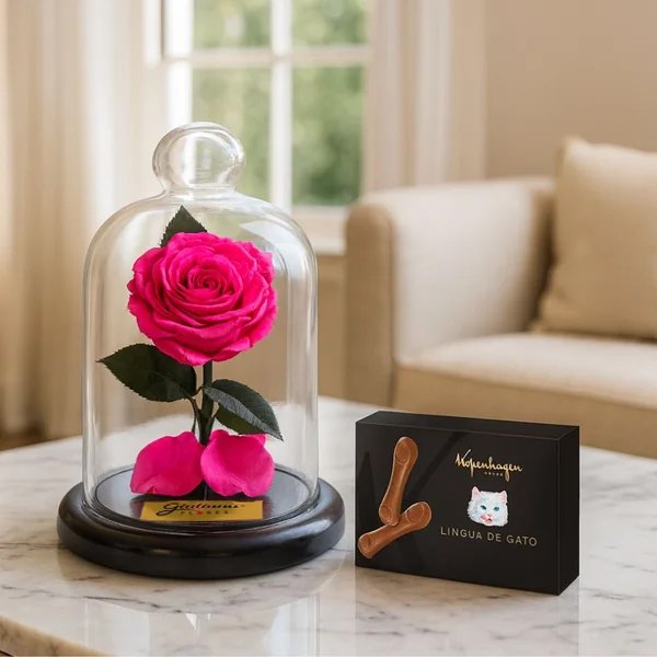 Mini Rosa Encantada Pink e Língua de Gato Kopenhagen