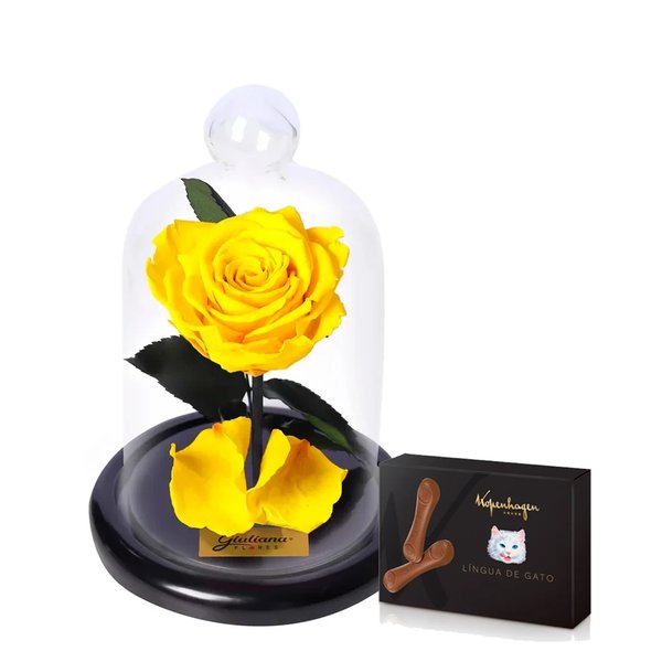 Mini Rosa Encantada Amarela e Língua de Gato Kopenhagen