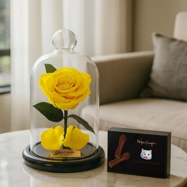 Mini Rosa Encantada Amarela e Língua de Gato Kopenhagen