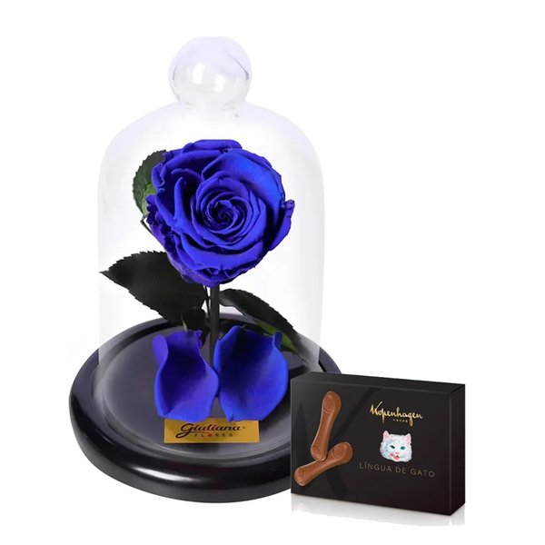 Mini Rosa Encantada Azul e Língua de Gato Kopenhagen