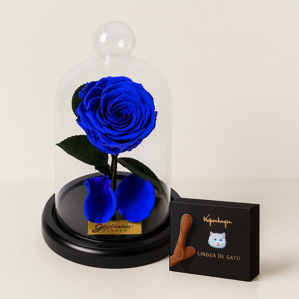 Mini Rosa Encantada Azul e Língua de Gato Kopenhagen