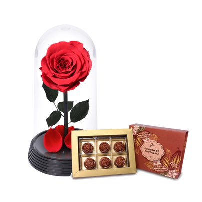 A Bela Rosa Encantada e Bombom Giuliana Flores