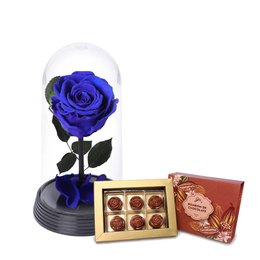 Imagem de A Bela Rosa Encantada Azul e Bombom Giuliana Flores