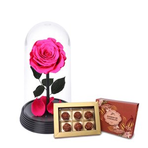 Imagem de A Bela Rosa Encantada Pink e Bombom Giuliana Flores