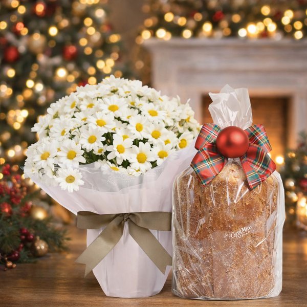 Mini Vaso de Margaridinhas Plantadas e Panettone