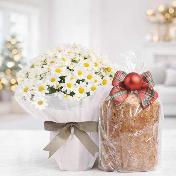 Mini Vaso de Margaridinhas Plantadas e Panettone