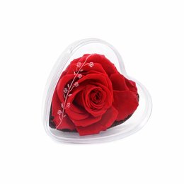 Imagem de Mini Coração Encantado