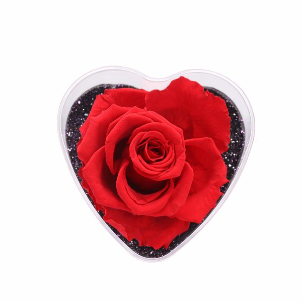 Mini Coração Encantado