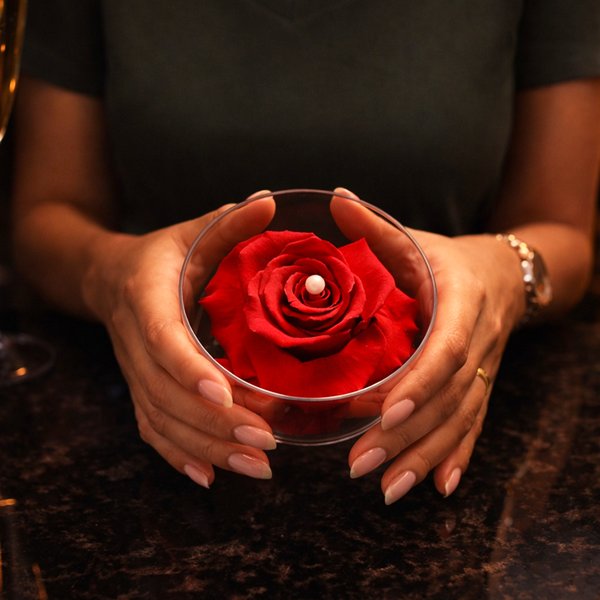 Carisma de Rosa Encantada Vermelha