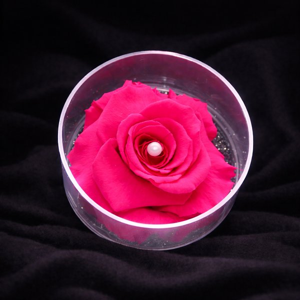 Carisma de Rosa Encantada Pink