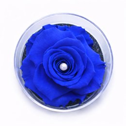 Imagem de Carisma de Rosa Encantada Azul