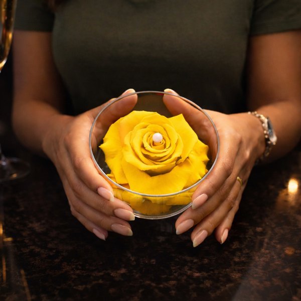 Carisma de Rosa Encantada Amarela