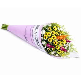 Imagem de Buquê 4 Estações Colorido Mulheres